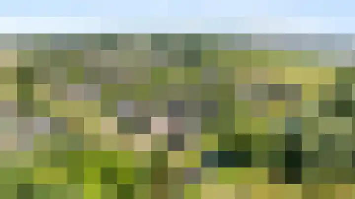 Wegenschouw 7 Huissen thumbnail 57