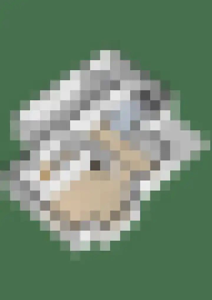 Wegenschouw 7 Huissen thumbnail 59