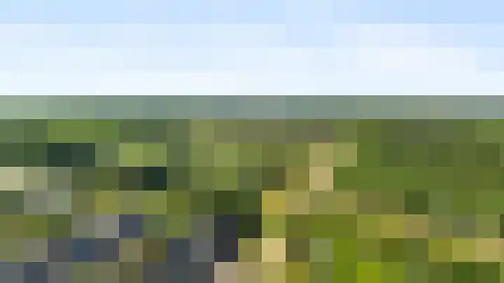 Wegenschouw 7 Huissen thumbnail 6