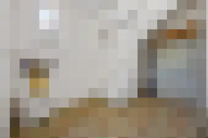 Wegenschouw 7 Huissen thumbnail 7