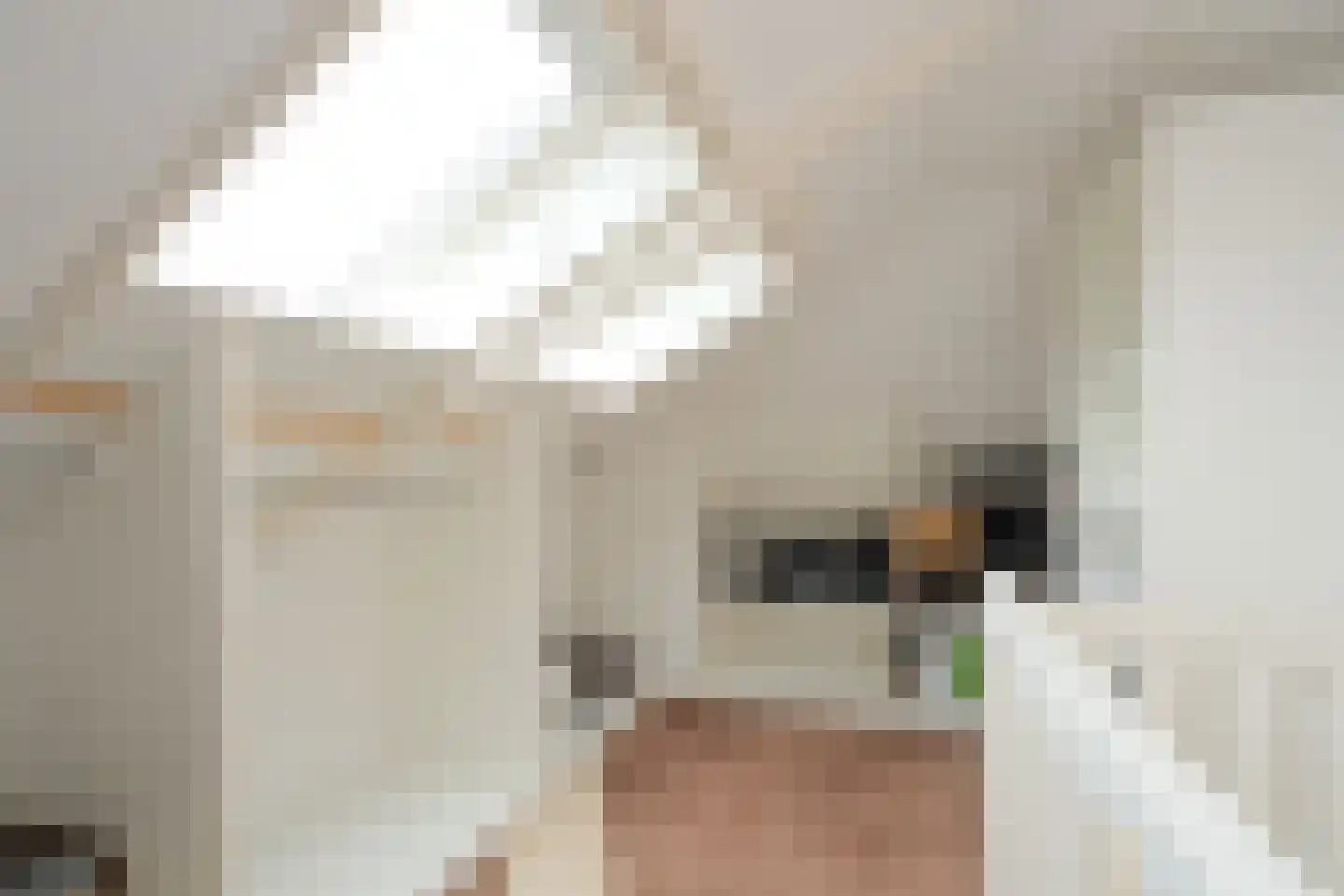Weggelerstraat 3 Almelo thumbnail 22