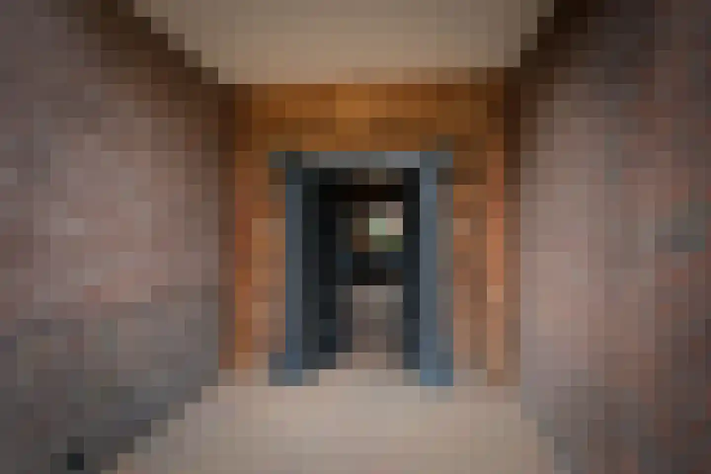 Weggelerstraat 3 Almelo thumbnail 31