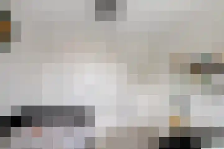 Weggelerstraat 4 Almelo thumbnail 23