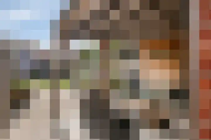 Weggelerstraat 4 Almelo thumbnail 26