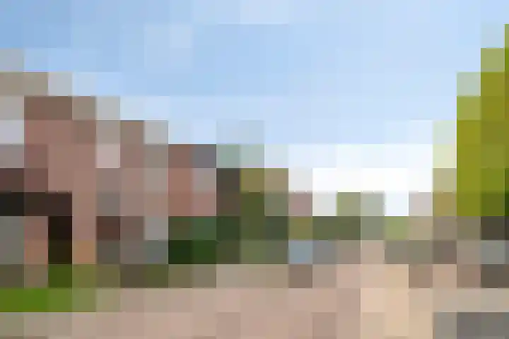 Weggelerstraat 4 Almelo thumbnail 29