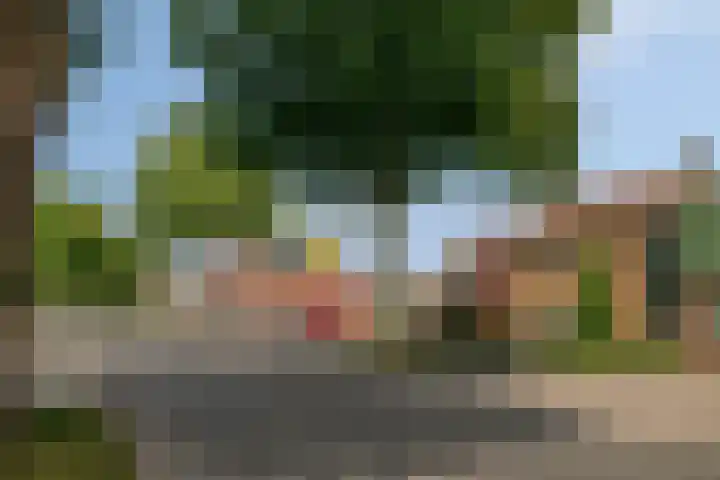 Weggelerstraat 4 Almelo thumbnail 31