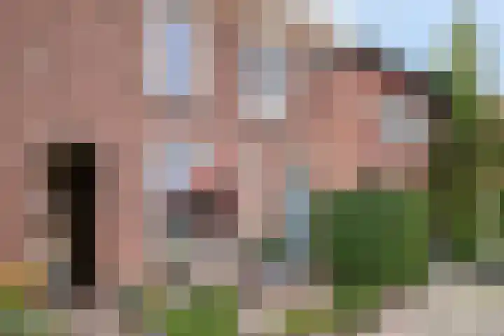 Weggelerstraat 4 Almelo thumbnail 4