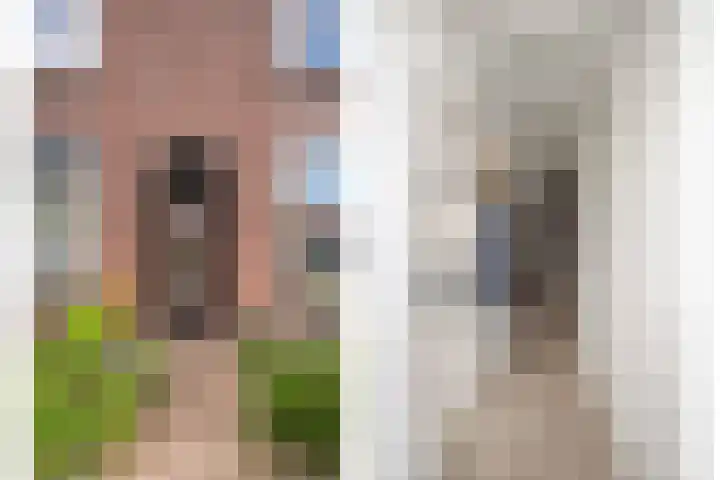 Weggelerstraat 4 Almelo thumbnail 5