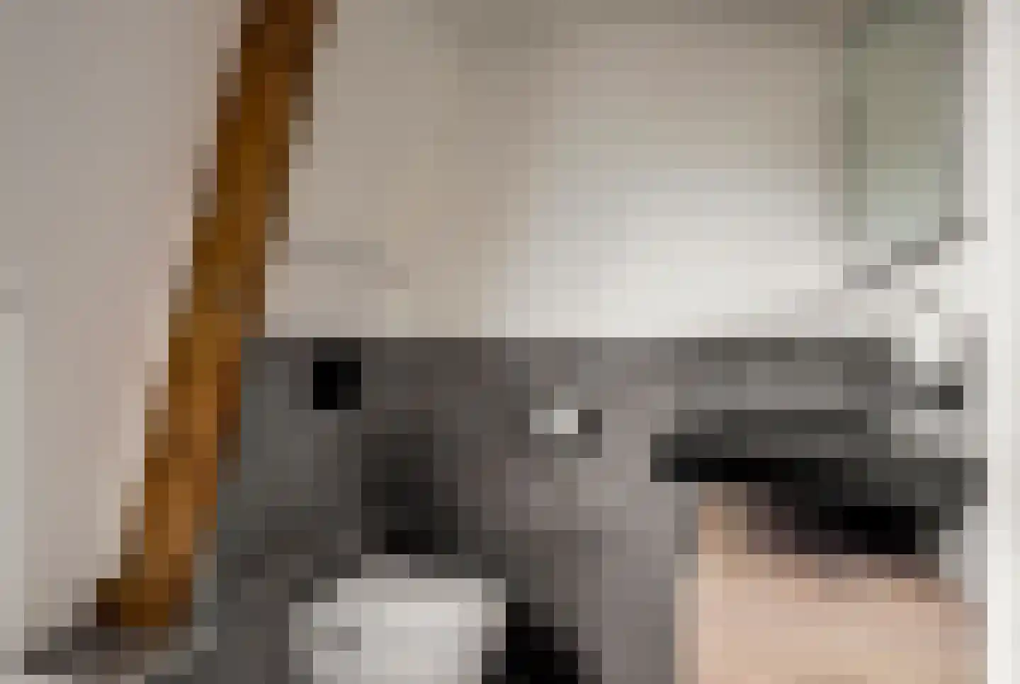 Wegje 3 Enkhuizen thumbnail 26