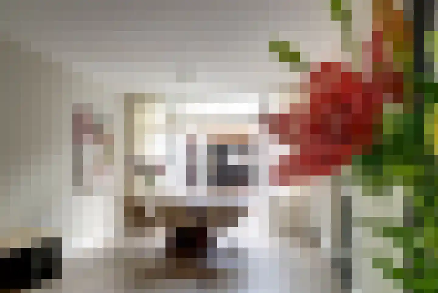 Wegje 3 Enkhuizen thumbnail 7