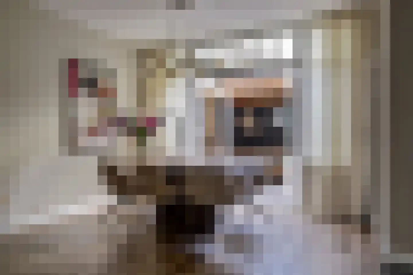 Wegje 3 Enkhuizen thumbnail 8