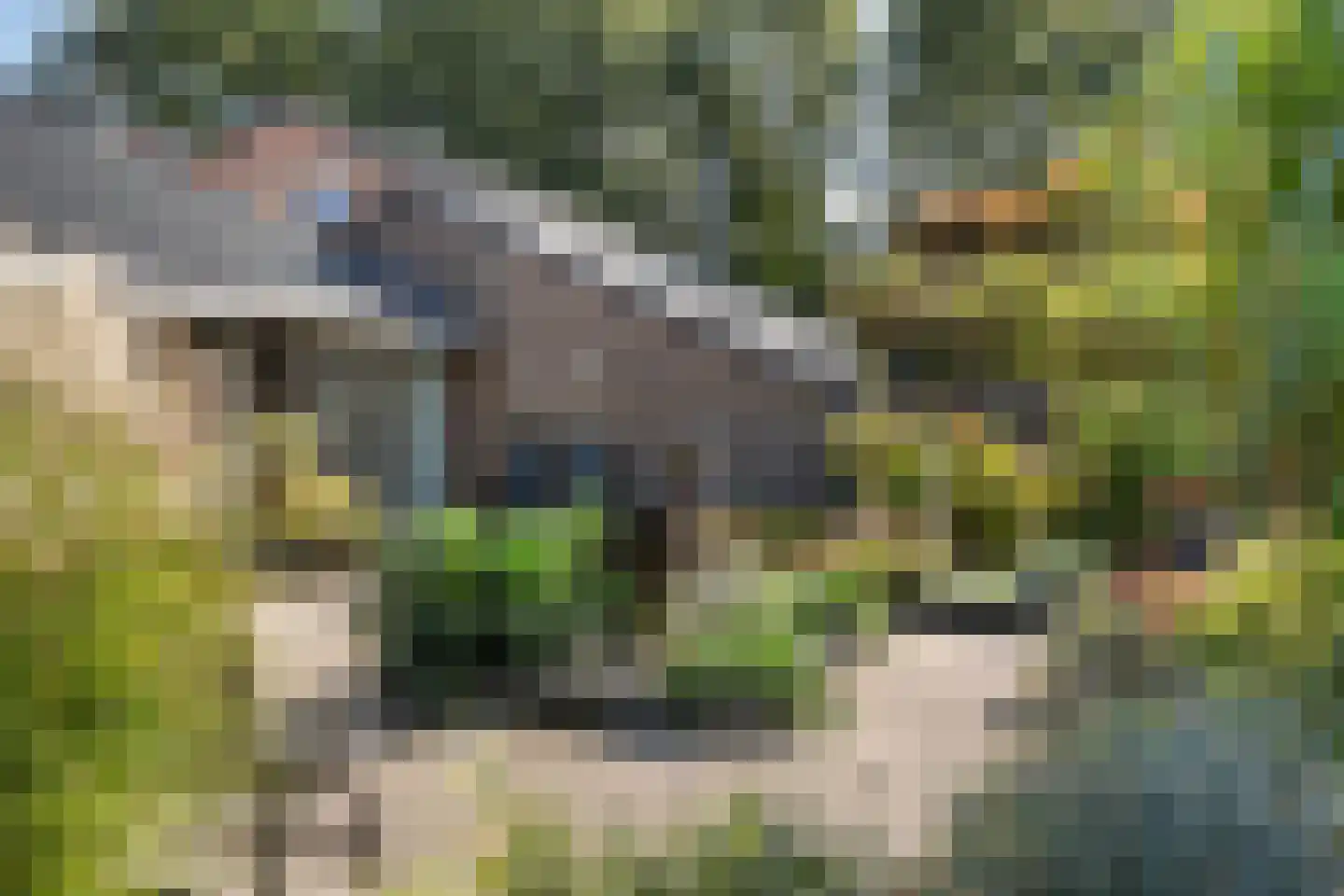 Weglangen 13 Westerbork thumbnail 34