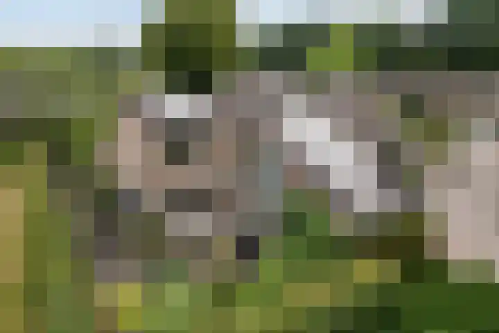 Weglangen 2 in Westerbork