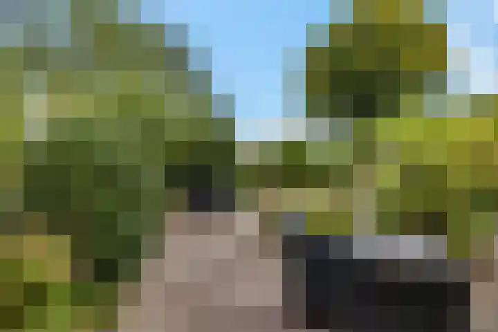 Weglangen 2 Westerbork thumbnail 31