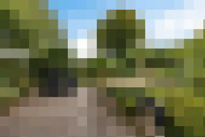Weglangen 2 Westerbork thumbnail 34