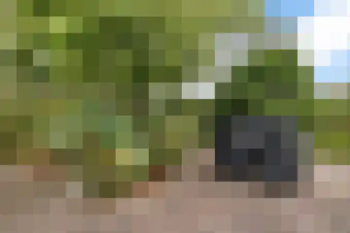 Weglangen 2 Westerbork thumbnail 35
