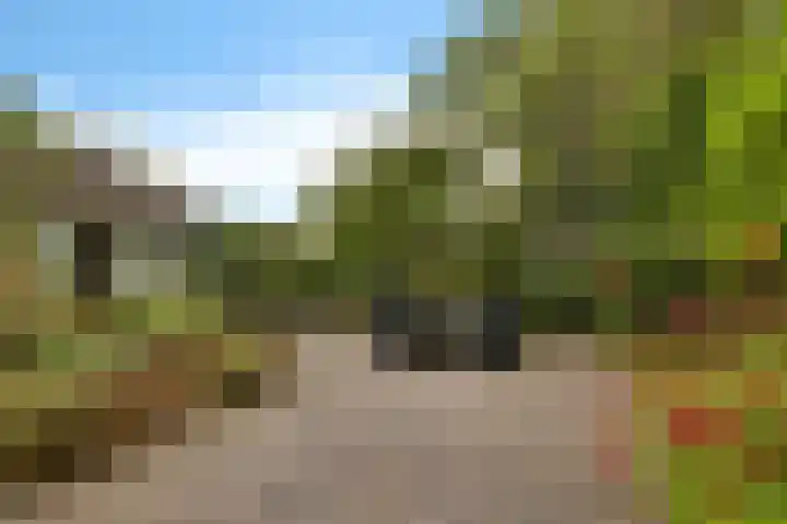 Weglangen 2 Westerbork thumbnail 37