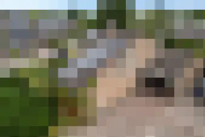 Weglangen 2 Westerbork thumbnail 41