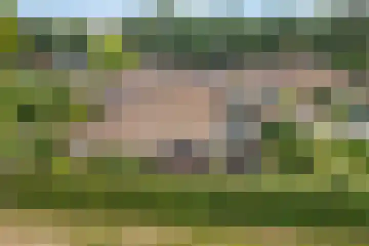 Weglangen 2 Westerbork thumbnail 42