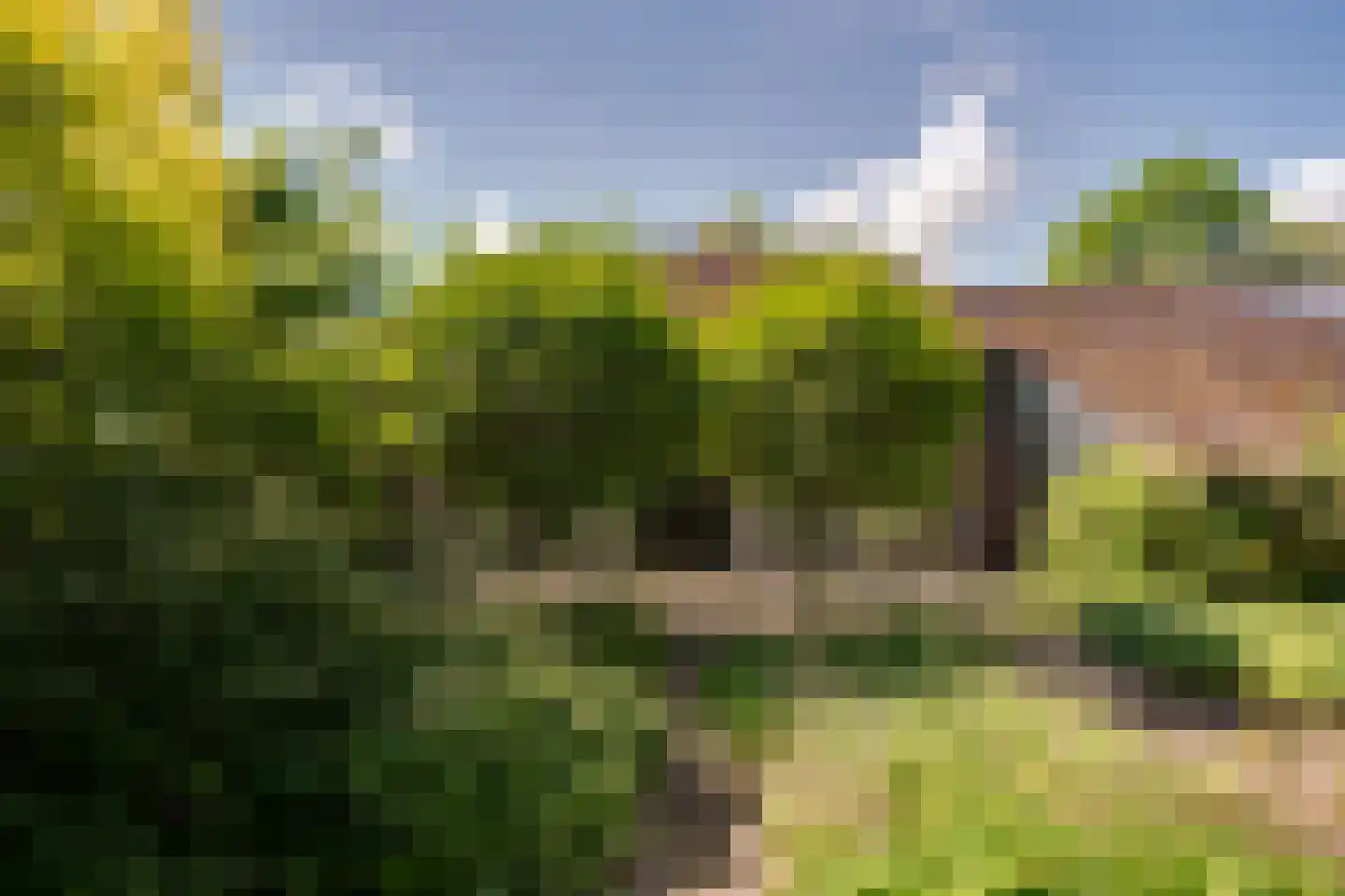 Weglangen 39 Westerbork thumbnail 19