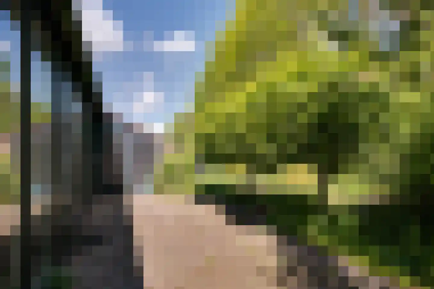 Weglangen 39 Westerbork thumbnail 20