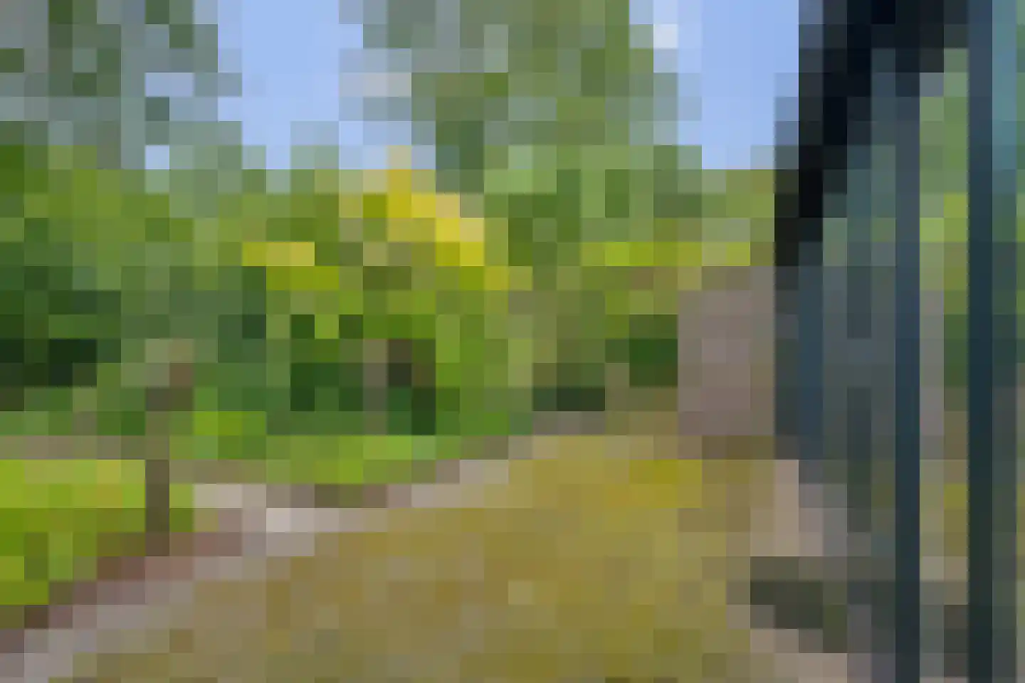 Weglangen 39 Westerbork thumbnail 21