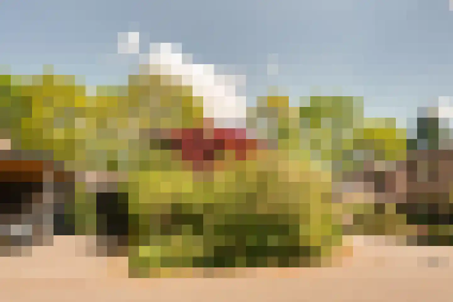 Weglangen 39 Westerbork thumbnail 22