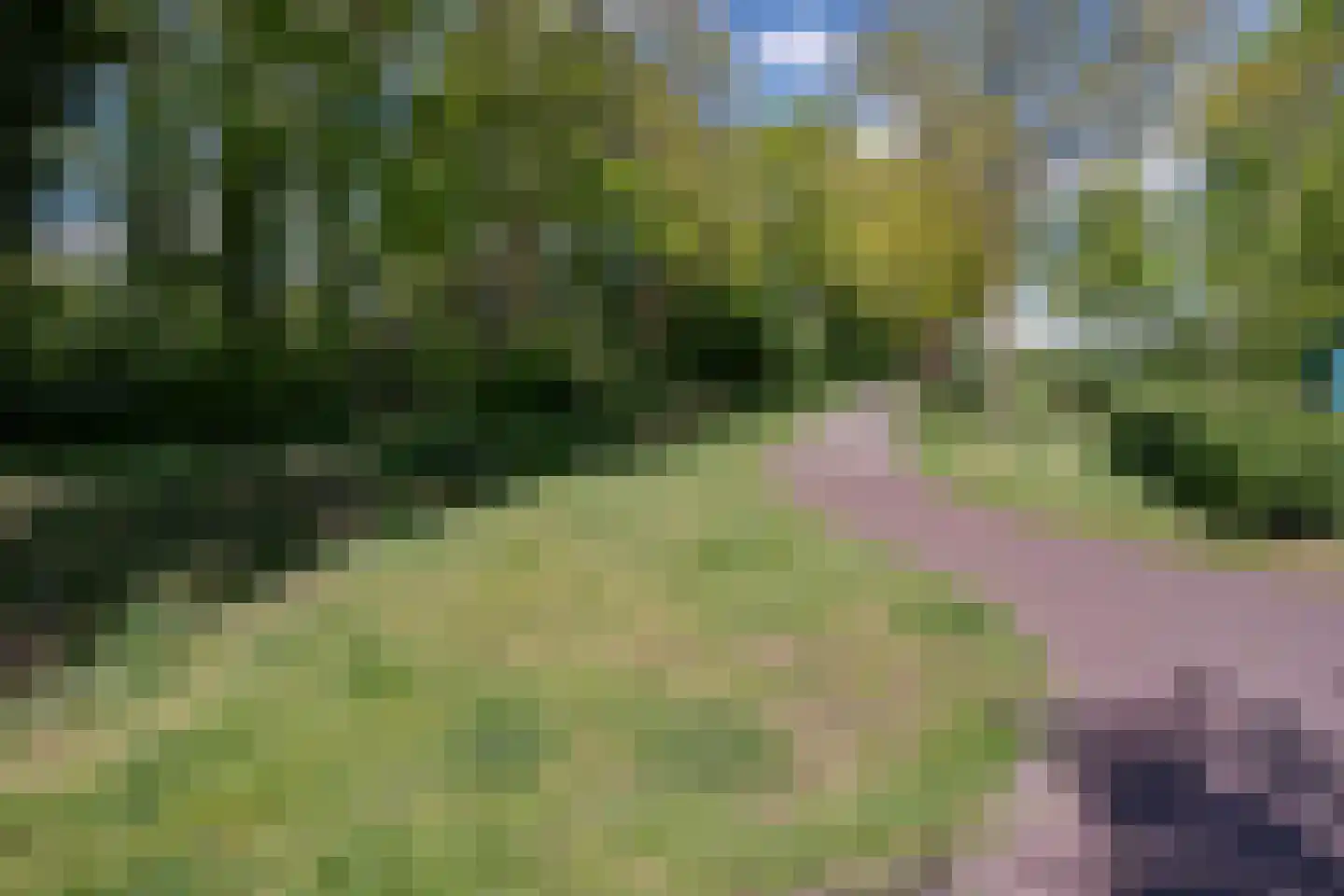 Weglangen 39 Westerbork thumbnail 23