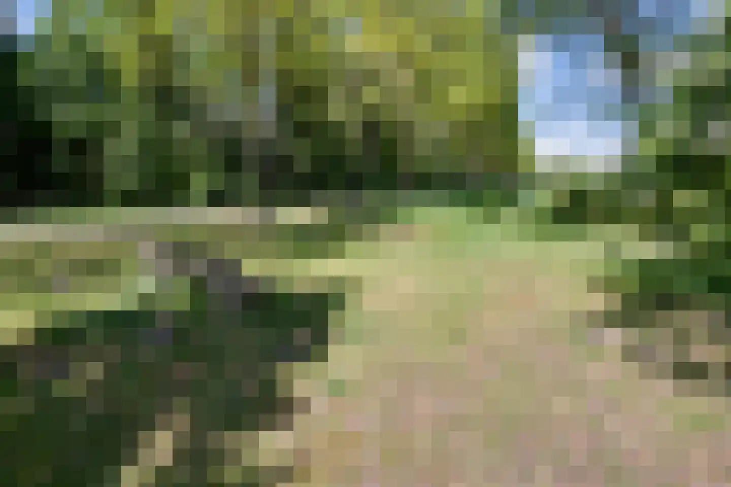Weglangen 39 Westerbork thumbnail 24