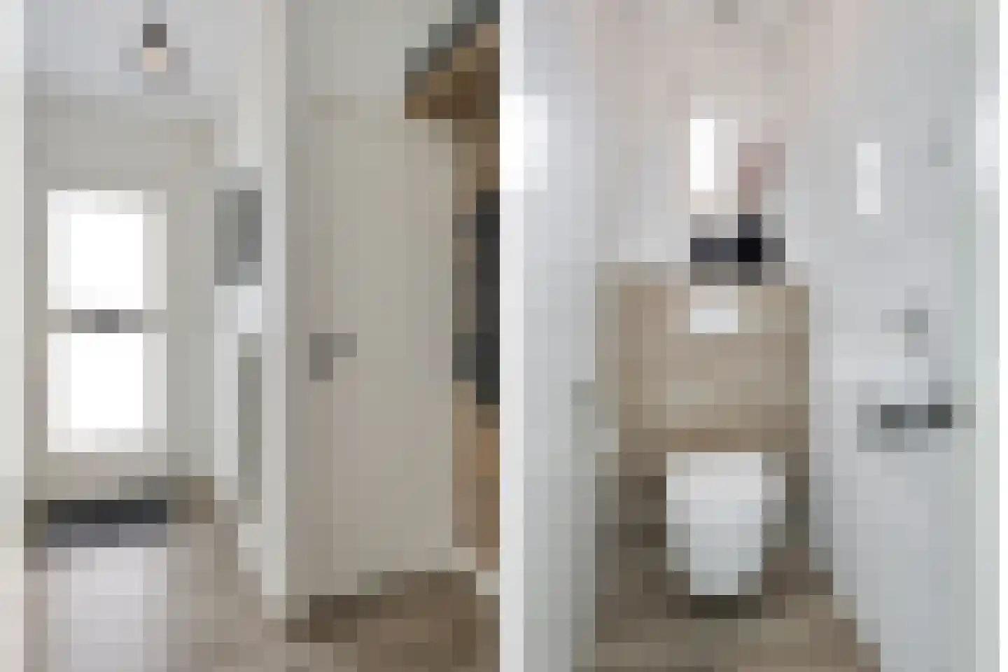 Wehlseweg 47 Didam thumbnail 10