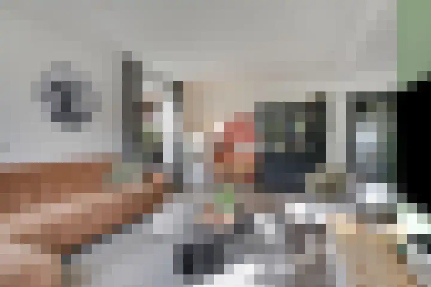 Wehlseweg 47 Didam thumbnail 12