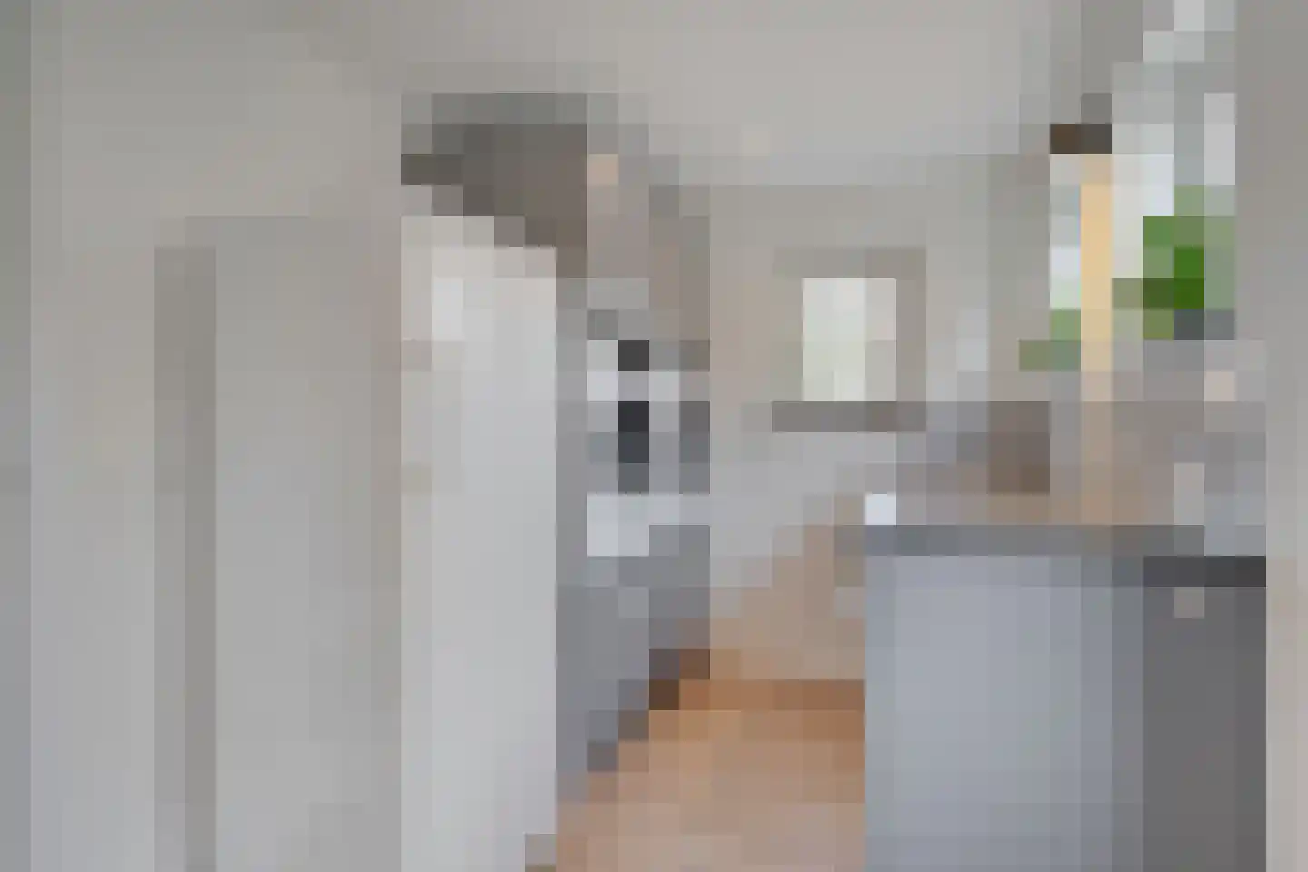 Wehlseweg 47 Didam thumbnail 19