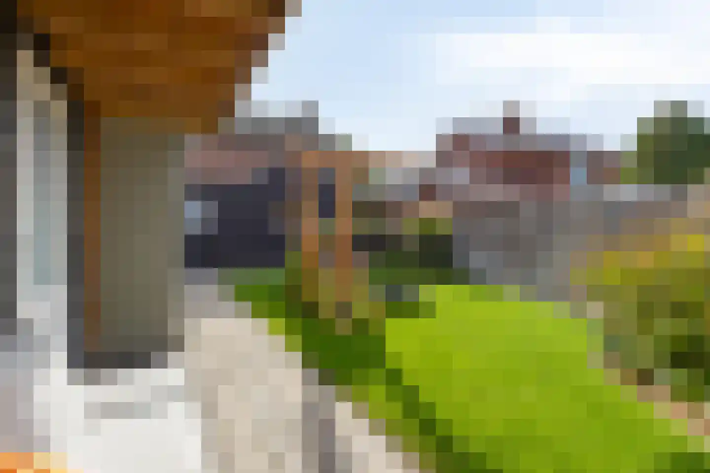 Wehlseweg 47 Didam thumbnail 22
