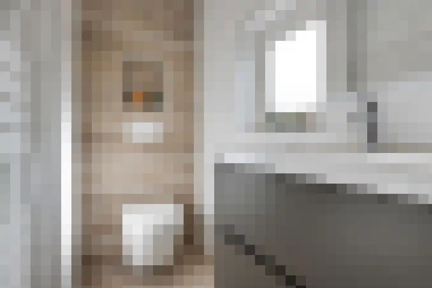 Wehlseweg 47 Didam thumbnail 30