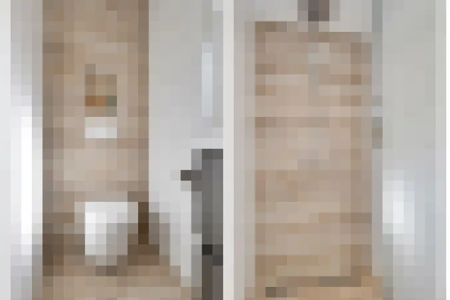 Wehlseweg 47 Didam thumbnail 31