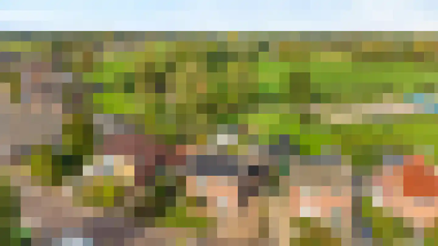 Wehlseweg 47 Didam thumbnail 35
