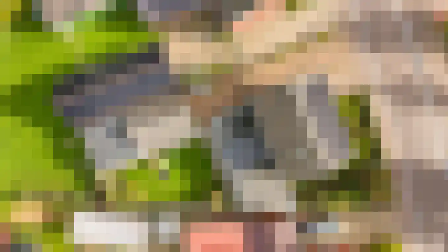 Wehlseweg 47 Didam thumbnail 36