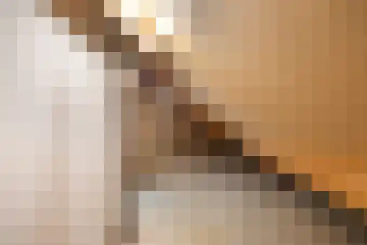 Wehmerstraat 17 Aalten thumbnail 30