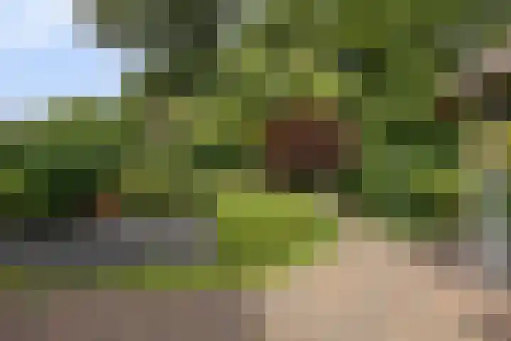 Wehmerstraat 17 Aalten thumbnail 4