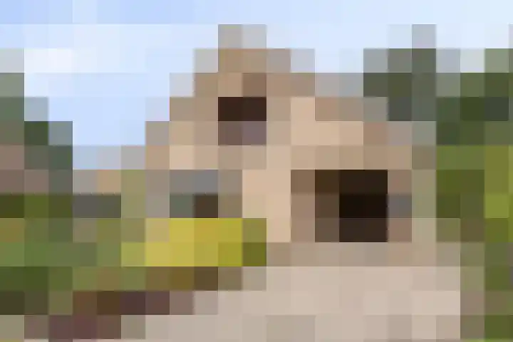 Wehmerstraat 17 Aalten thumbnail 5