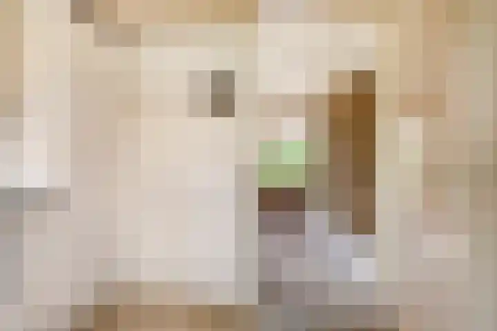 Wehmestraat 12 Steenderen thumbnail 14