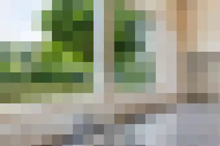 Wehmestraat 12 Steenderen thumbnail 15