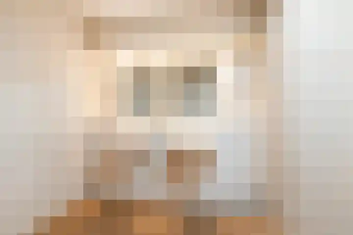 Wehmestraat 12 Steenderen thumbnail 28