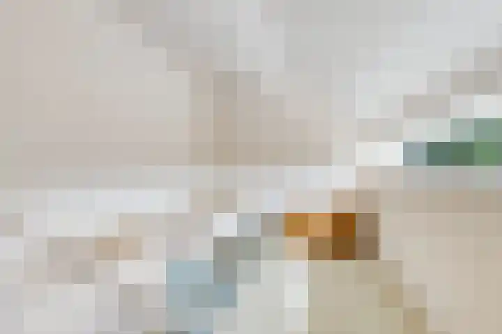 Wehmestraat 12 Steenderen thumbnail 33