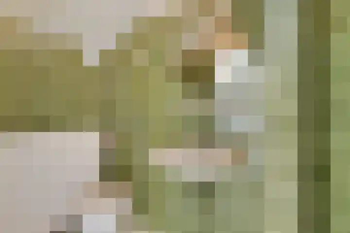 Wehmestraat 12 Steenderen thumbnail 37