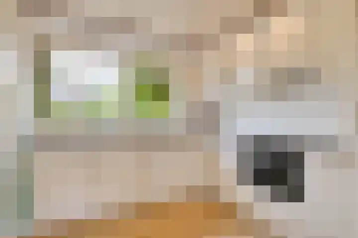 Wehmestraat 12 Steenderen thumbnail 4