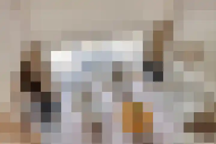 Wehmestraat 12 Steenderen thumbnail 40