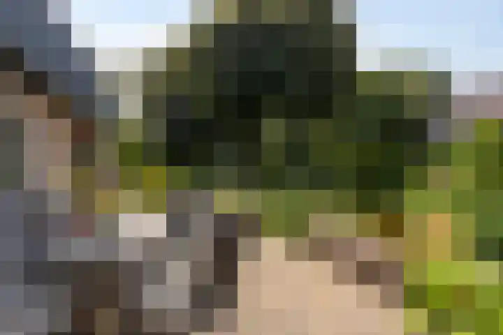 Wehmestraat 12 Steenderen thumbnail 46
