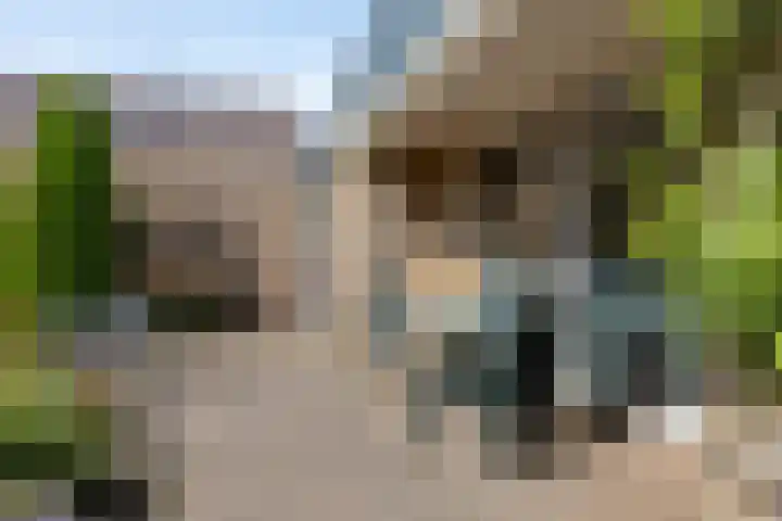 Wehmestraat 12 Steenderen thumbnail 47