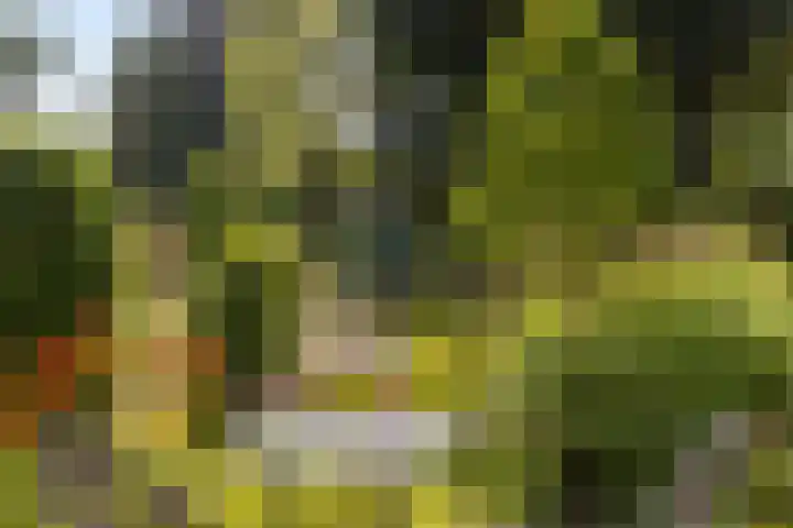 Wehmestraat 12 Steenderen thumbnail 49